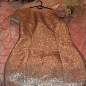 Express Rose Gold pink dress